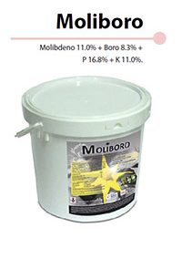 Moliboro – Molibdeno 11.0% + Boro 8.3% + P 16.8% + K 11.0%